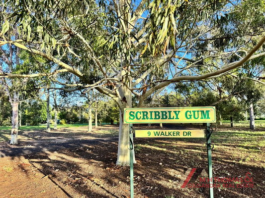 9 Walker Drive, Gilgandra