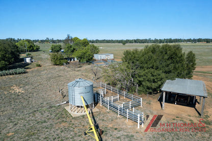 141 Mahers Hill Road, Gilgandra NSW 2827