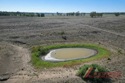 141 Mahers Hill Road, Gilgandra NSW 2827