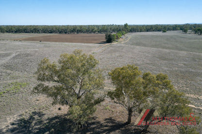 141 Mahers Hill Road, Gilgandra NSW 2827