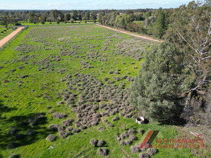 123 Federation Street, Gilgandra NSW 2827