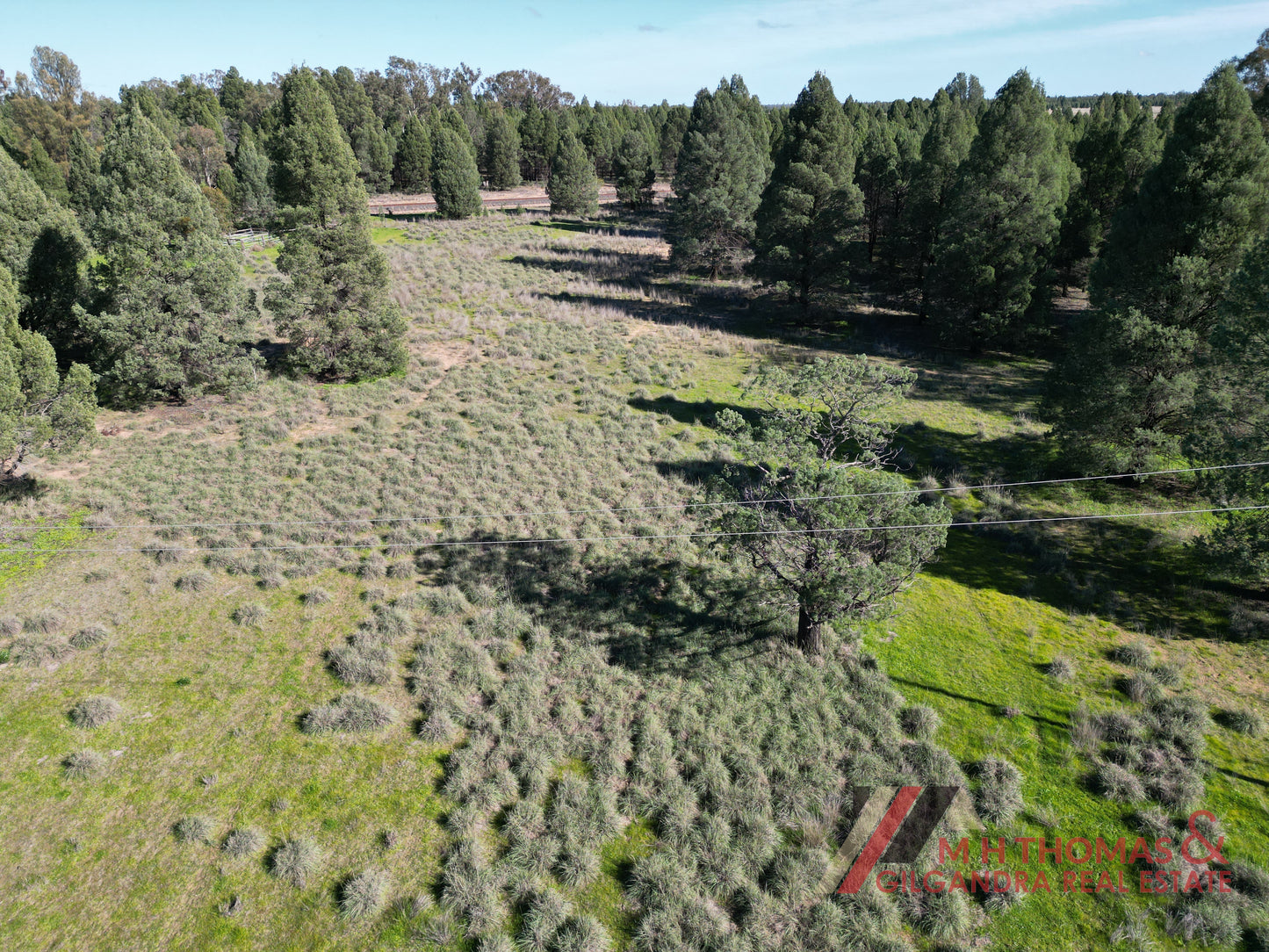 123 Federation Street, Gilgandra NSW 2827