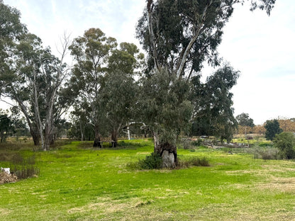 200 Lwr Miller St, Gilgandra NSW 2827