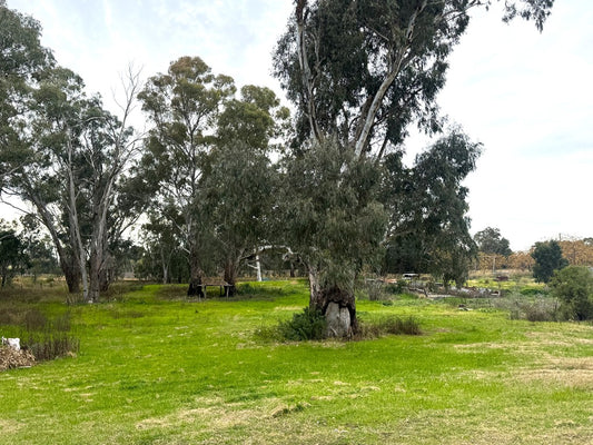 200 Lwr Miller St, Gilgandra NSW 2827