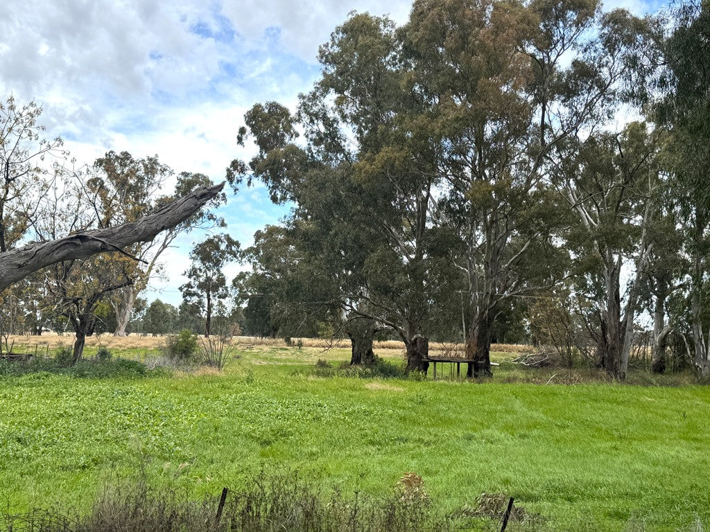 200 Lwr Miller St, Gilgandra NSW 2827
