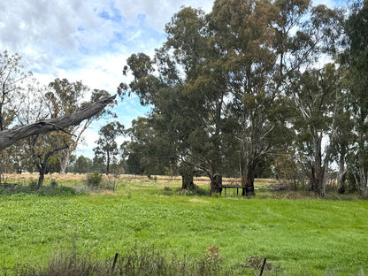 200 Lwr Miller St, Gilgandra NSW 2827