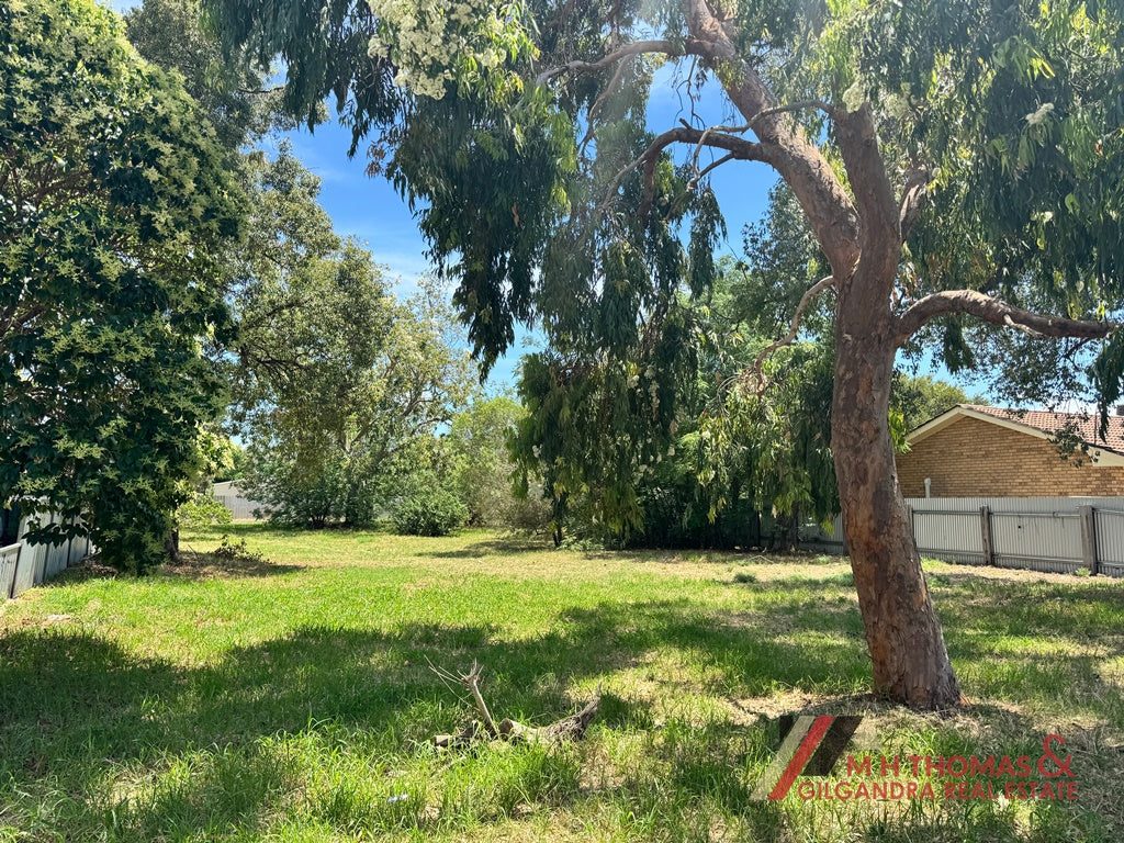 11 Waugan Street, Gilgandra